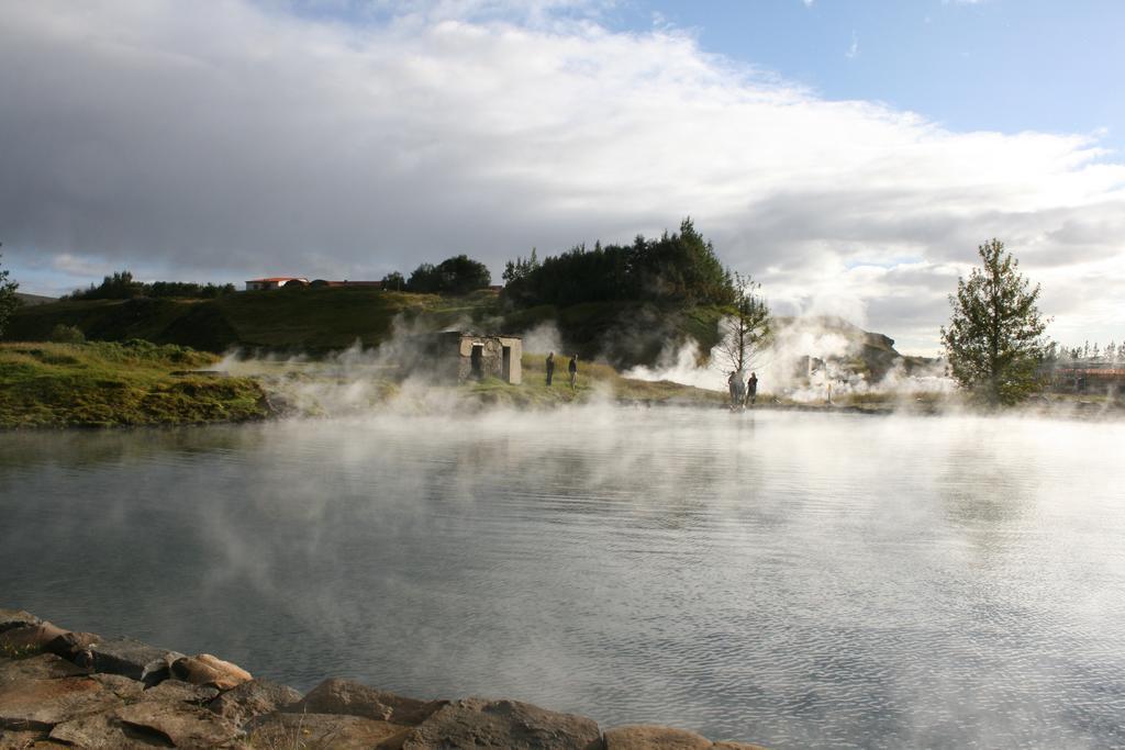 Geysir - Modern Log * Reykholt (Southern Iceland)